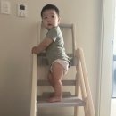 이타워2 | 육아 제품 리뷰] 토몽 러닝타워 | 아기 러닝타워 추천 | 내돈내산 아기 화장실 러닝타워 2개월 사용 후기 🪜