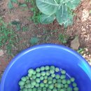 학성바다펜션 이미지