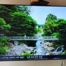 춘향농원 이미지