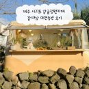 햇살정원 제주캠핑민박 | 제주 서귀포 감귤정원카페 감따남 애견동반 후기