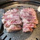 고기숲