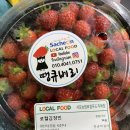 동방캠핑하우스 | 사천 땡큐베리 딸기 직구입, 딸기체험 후기