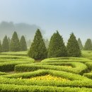 유토피아 이미지