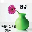 제239회 파크골프정모 공지 이미지