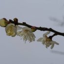 하늘뜰 농장 이미지