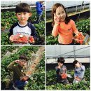 인성2농장 이미지