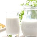 반여착한동물병원 이미지