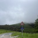 비룡로55번길27 | 산티아고 프랑스길 1일차 후기 | 생장-론세스바예스 | 거리·난이도·꿀팁