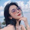 551 이미지