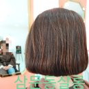 젤미미장원