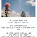 그냥봄날 이미지