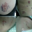 장승포가축병원 이미지