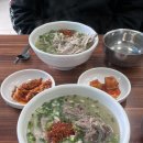 푸름공원 | 푸가족과 함께하는 제주도 여행 1 (부두국수, 함덕해변, 자구리공원, 바다를본돼지)