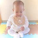스타이 이미지