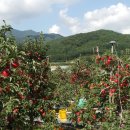 부등 농장 이미지