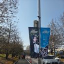 25년 아이브 팬 콘서트 후기