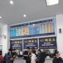 울릉도선창호텔 | 울릉도 2박3일 패키지여행 1일차-안목항,선창호텔,두꺼비식당(홍합밥,오징어내장탕)
