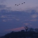 상상펜션 이미지