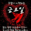 행금도 Daum카페
