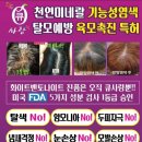 큐사랑대전 - 66077 | 큐사랑대전