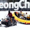 평창송어 이미지