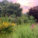 카페정원 이미지