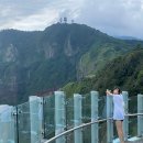 태하모노레일 이미지