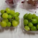 세븐일레븐 일산주엽뉴서울프라자점 이미지