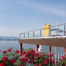 봄내쉼터식당 | [반일치기 당일춘천여행]반나절에도 춘천을 느낄 수 있다!