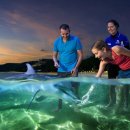 마이바이크 이미지