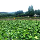 서동공원 이미지