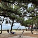 해빛뜰어촌체험휴양마을 이미지