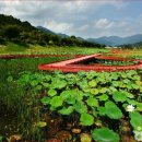 지리산호수공원 Daum카페