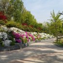 초안산 창골축구장 이미지