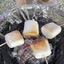 포레이즈