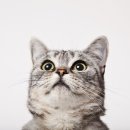 분도메디컬 이미지