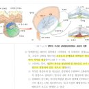 ㄱㅊㅇ 2024대비 파이널 2회 B 10번 이미지