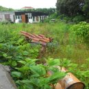 표선리-26 이미지