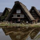 기후미식의 세계 이미지