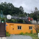 홍시식당 네이버블로그