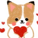 팡팡애견 이미지