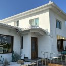 두부네 애견카페 이미지