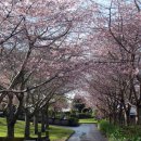 학교관사앞 이미지