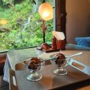 용인 자작나무숲 &amp; 자작나무이야기 솔직 후기