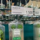 행운돈 이미지