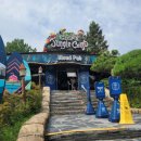 하이트캠프 | 에버랜드 주토피아카페 완벽 가이드 - 카페정글캠프 메뉴 및 가격 그리고 위치까지!