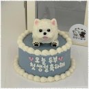 정성스럽개 | 울산강아지케이크 울산의 반려동물 간식 천국, 정성스럽개 후기