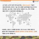 스타행정사 이미지