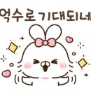 양산중앙중학교 이미지