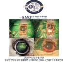 윤성진 안과/외과 동물병원 이미지